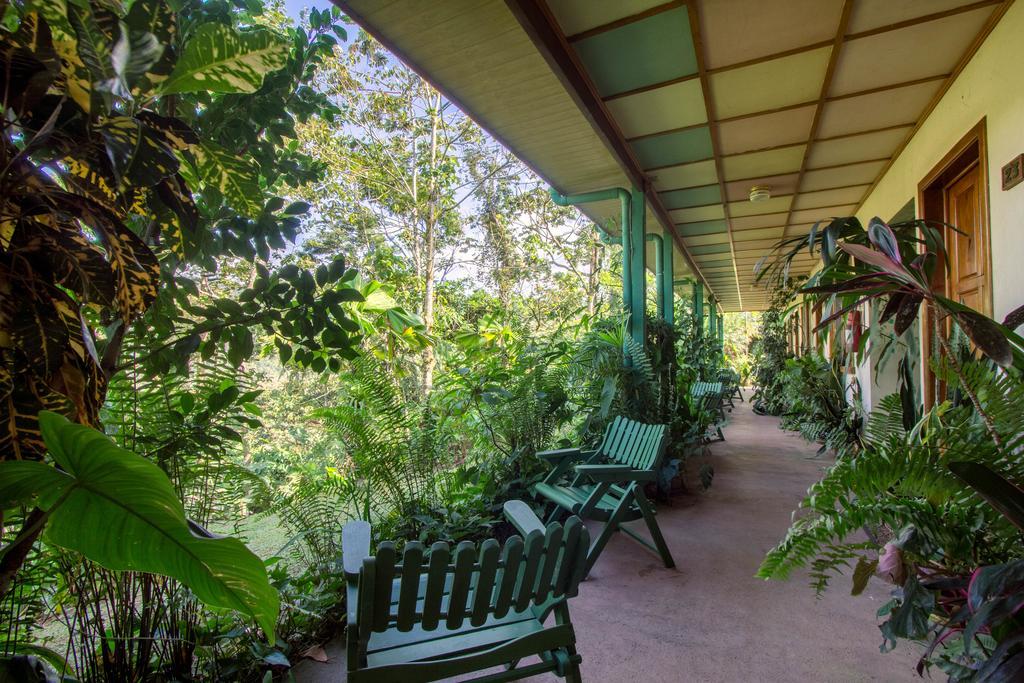 Lands In Love Hotel And Resort Colonia Palmareña Esterno foto